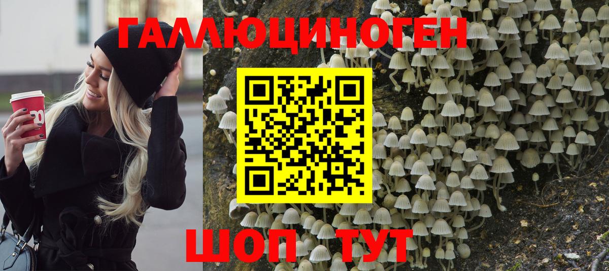 Домодедово  Псилоцибиновые грибы MAGIC MUSHROOMS  Вход с VPN 